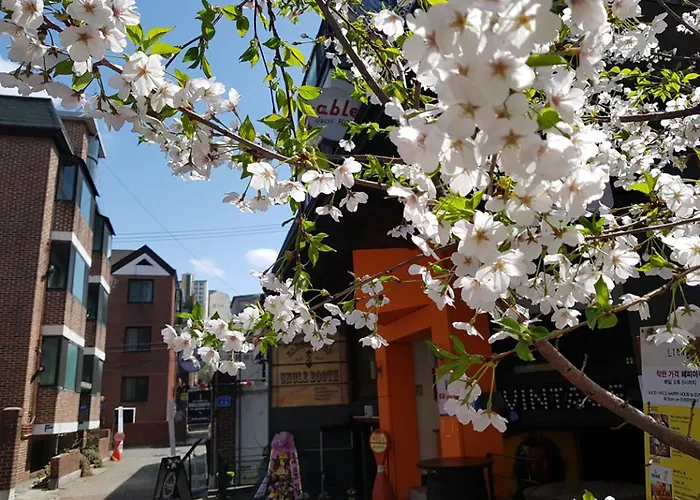 Able Hongdae Hostel